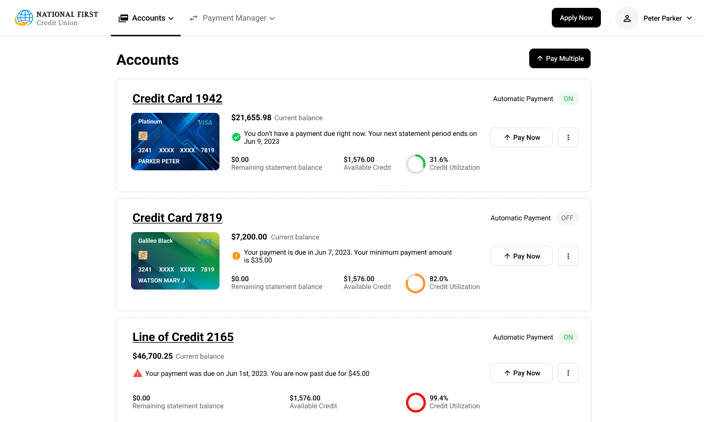 Screenshot of the LoanPro customer portal